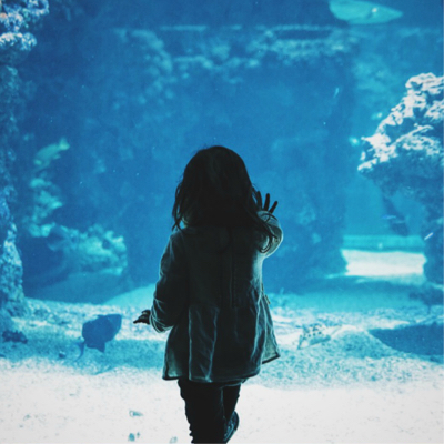 Creepy kid staring and touching an aquarium.